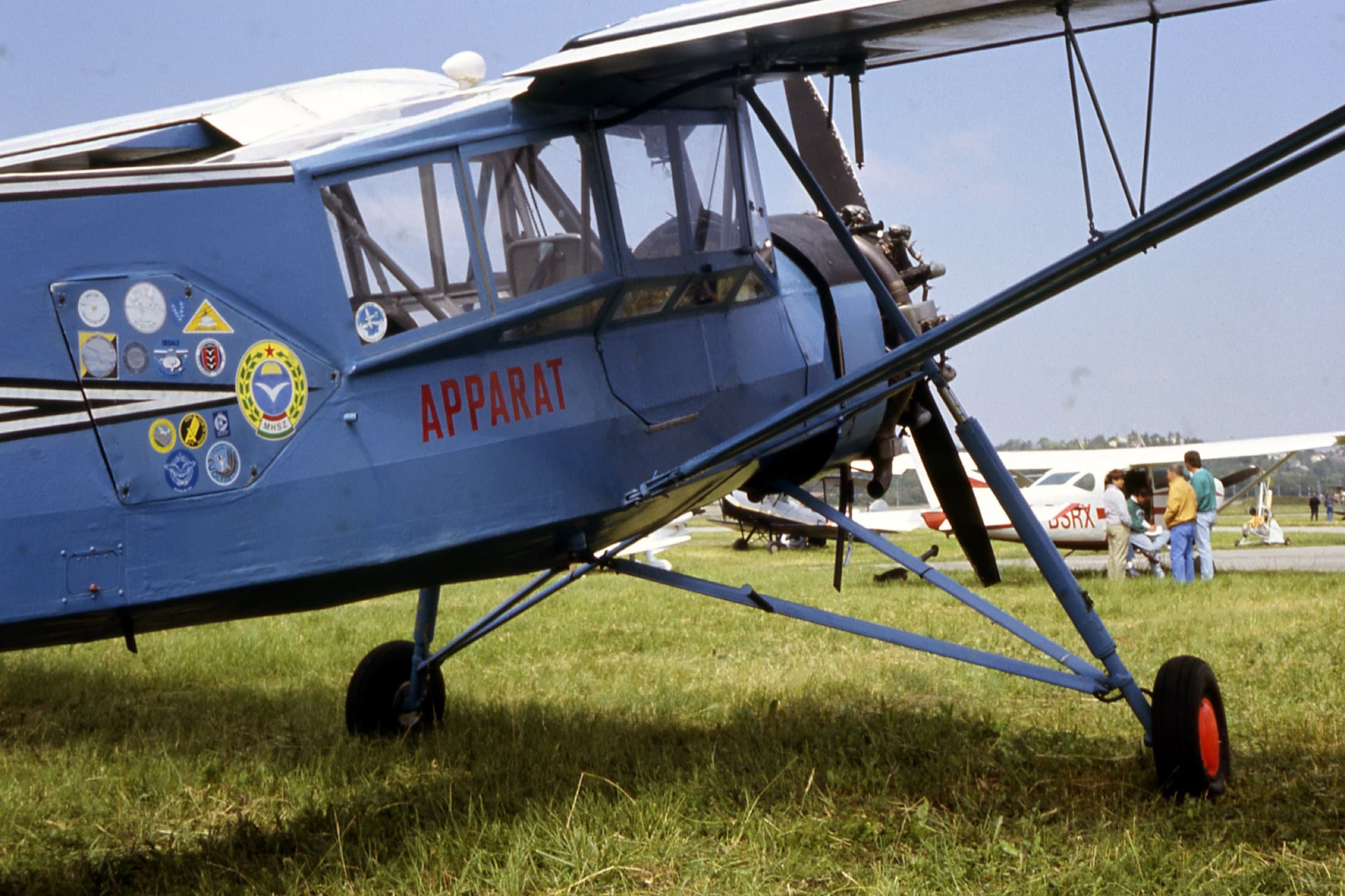 Storch sur le terrain