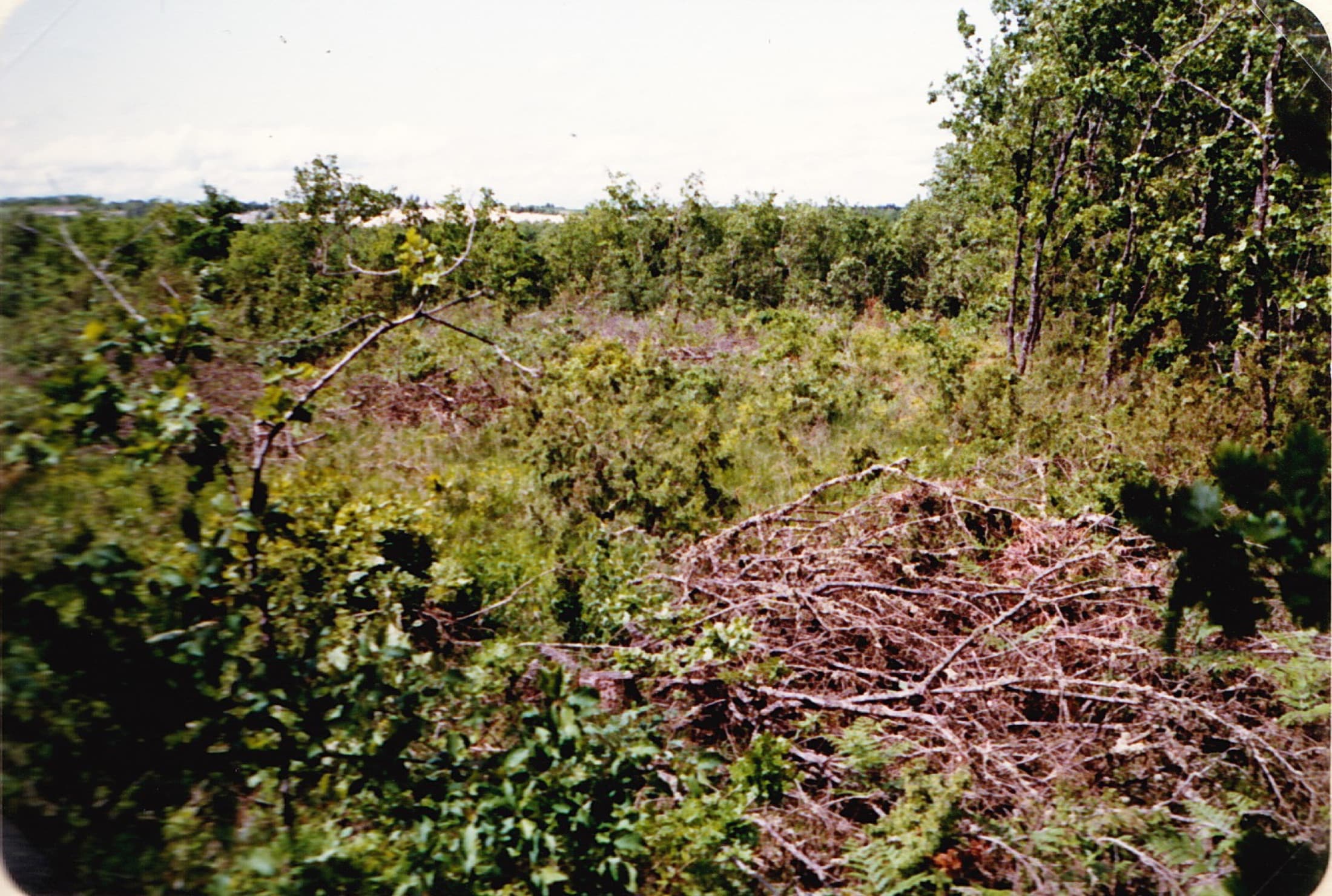 Le terrain de Bouloc